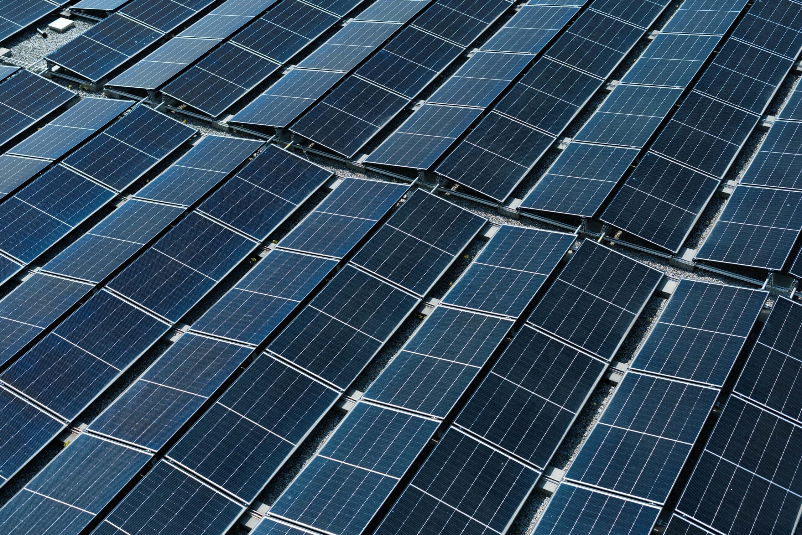 Holenstein Fotografie Geschaeftsleitung Familie 37